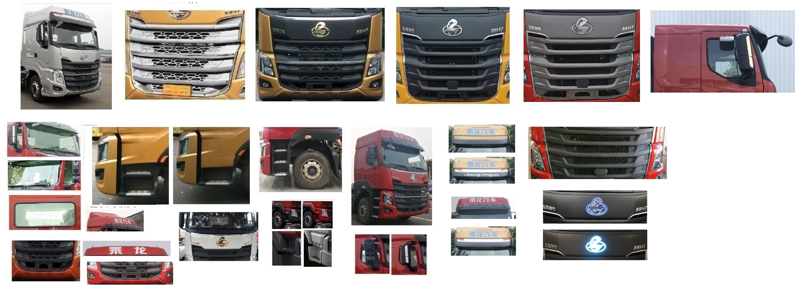 龙牧双星牌LMX5311ZSLLZ6型散装饲料运输车